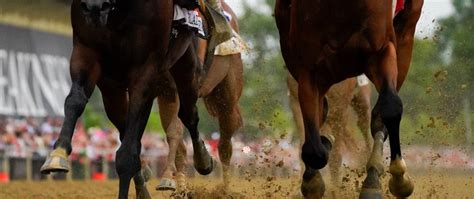 How To Bet On The Preakness Stakes: Betting Guide .
